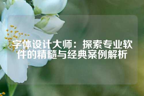 字体设计大师：探索专业软件的精髓与经典案例解析