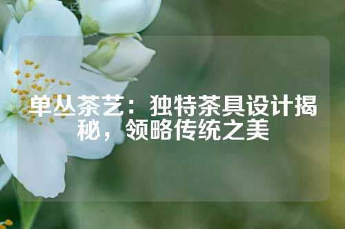 单丛茶艺：独特茶具设计揭秘，领略传统之美