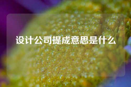 设计公司提成意思是什么