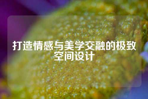 打造情感与美学交融的极致空间设计