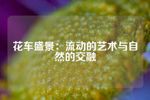 花车盛景：流动的艺术与自然的交融